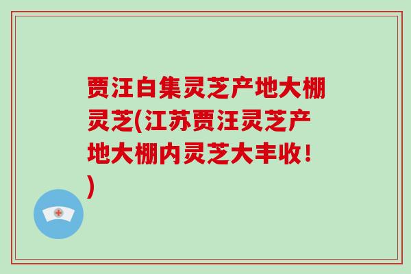 贾汪白集灵芝产地大棚灵芝(江苏贾汪灵芝产地大棚内灵芝大丰收！)