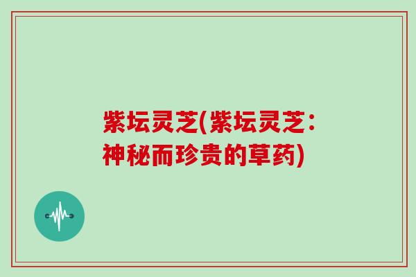 紫坛灵芝(紫坛灵芝：神秘而珍贵的草药)