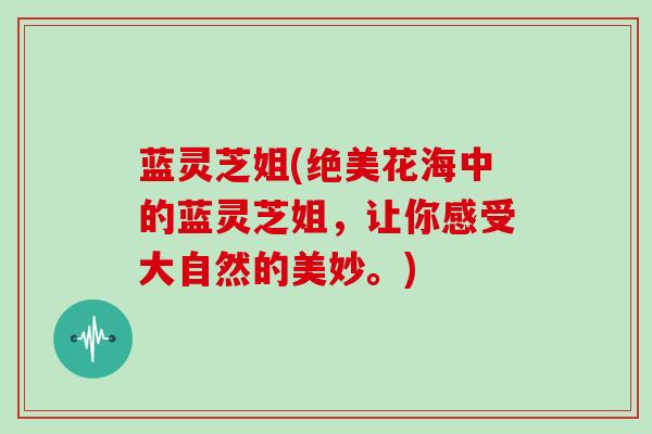 蓝灵芝姐(绝美花海中的蓝灵芝姐，让你感受大自然的美妙。)