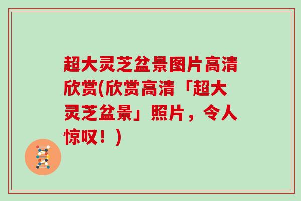 超大灵芝盆景图片高清欣赏(欣赏高清「超大灵芝盆景」照片，令人惊叹！)