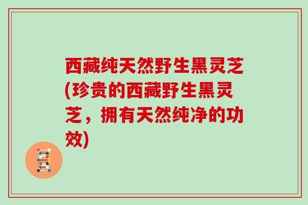 西藏纯天然野生黑灵芝(珍贵的西藏野生黑灵芝，拥有天然纯净的功效)