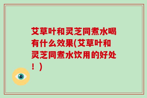 艾草叶和灵芝同煮水喝有什么效果(艾草叶和灵芝同煮水饮用的好处！)