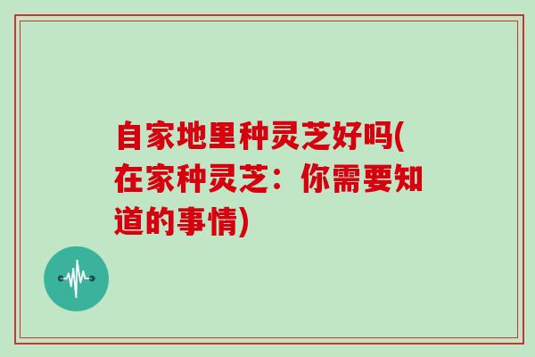 自家地里种灵芝好吗(在家种灵芝：你需要知道的事情)