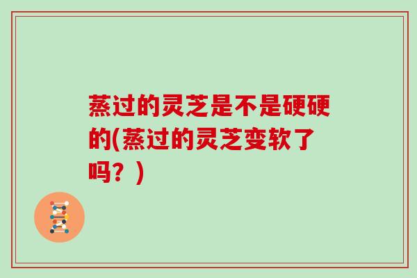 蒸过的灵芝是不是硬硬的(蒸过的灵芝变软了吗？)-第1张图片-灵芝大师