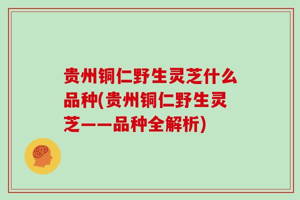 贵州铜仁野生灵芝什么品种(贵州铜仁野生灵芝——品种全解析)