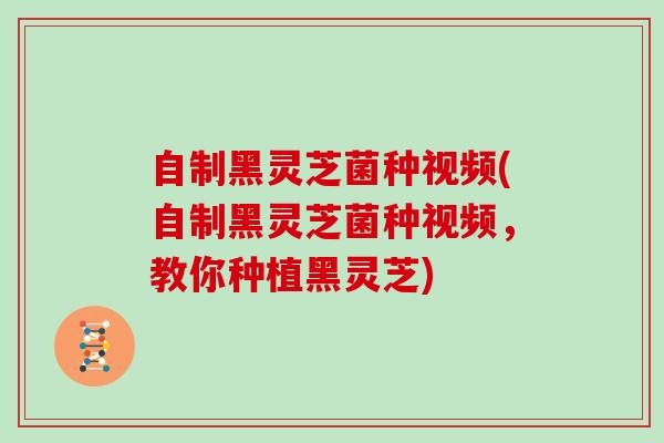自制黑灵芝菌种视频(自制黑灵芝菌种视频,教你种植黑灵芝)-第1张图片-灵芝大师 自制黑灵芝菌种视频(自制黑灵芝菌种视频,教你种植黑灵芝)-第1张图片-灵芝大师