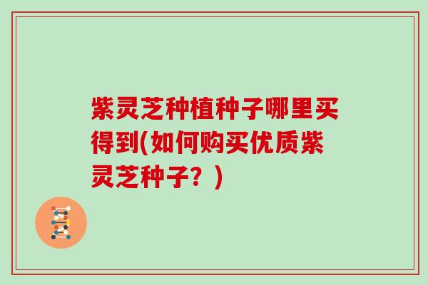 紫灵芝种植种子哪里买得到(如何购买优质紫灵芝种子？)