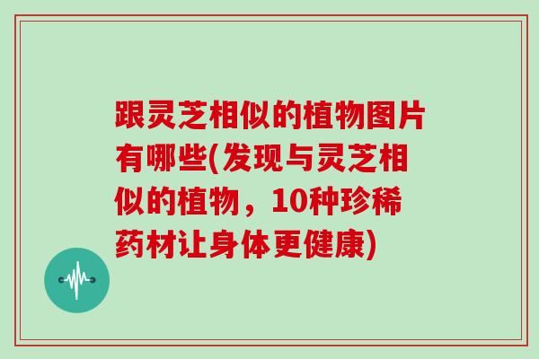 跟灵芝相似的植物图片有哪些(发现与灵芝相似的植物，10种珍稀药材让身体更健康)