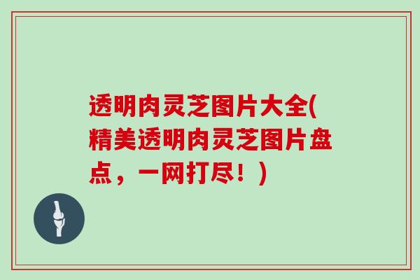 透明肉灵芝图片大全(精美透明肉灵芝图片盘点，一网打尽！)