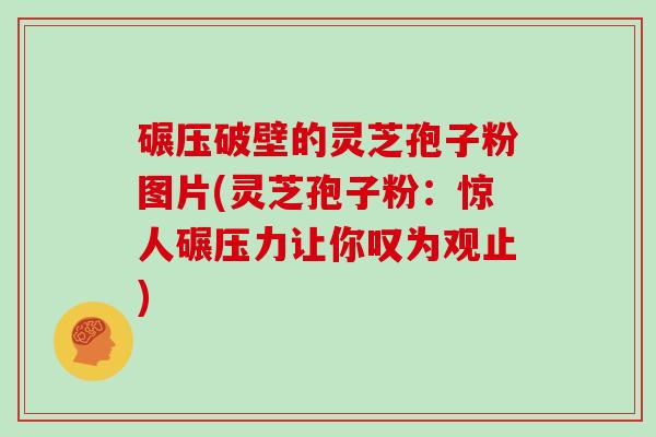 碾压破壁的灵芝孢子粉图片(灵芝孢子粉：惊人碾压力让你叹为观止)