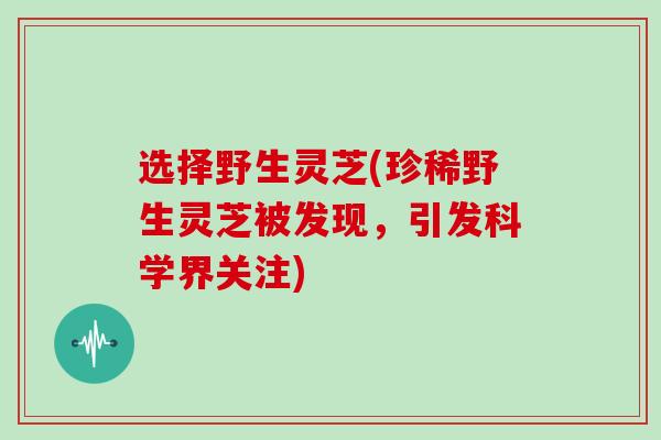 选择野生灵芝(珍稀野生灵芝被发现，引发科学界关注)