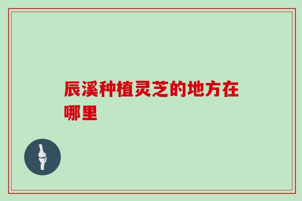 辰溪种植灵芝的地方在哪里