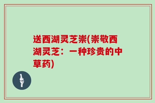 送西湖灵芝崇(崇敬西湖灵芝：一种珍贵的中草药)