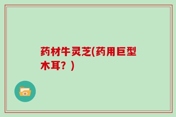 药材牛灵芝(药用巨型木耳？)