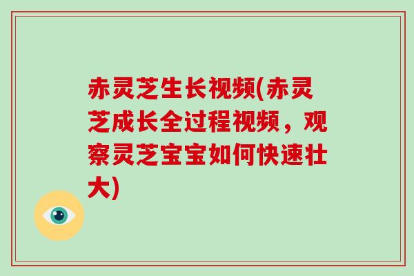 赤灵芝生长视频(赤灵芝成长全过程视频，观察灵芝宝宝如何快速壮大)