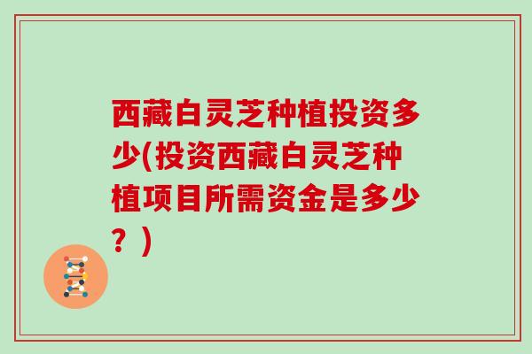西藏白灵芝种植投资多少(投资西藏白灵芝种植项目所需资金是多少？)-第1张图片-灵芝大师