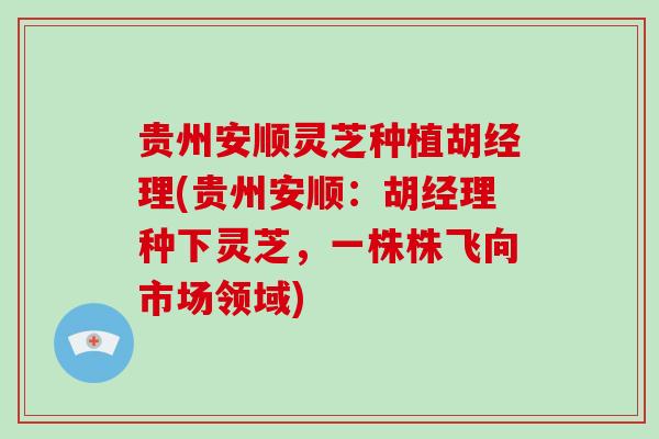 贵州安顺灵芝种植胡经理(贵州安顺：胡经理种下灵芝，一株株飞向市场领域)