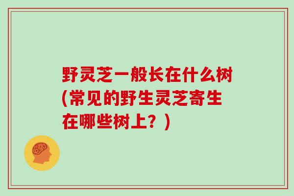野灵芝一般长在什么树(常见的野生灵芝寄生在哪些树上？)