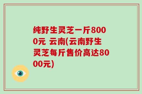 纯野生灵芝一斤8000元 云南(云南野生灵芝每斤售价高达8000元)
