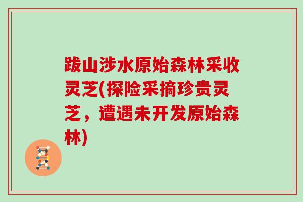 跋山涉水原始森林采收灵芝(探险采摘珍贵灵芝，遭遇未开发原始森林)