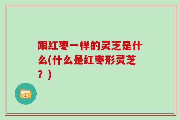跟红枣一样的灵芝是什么(什么是红枣形灵芝？)
