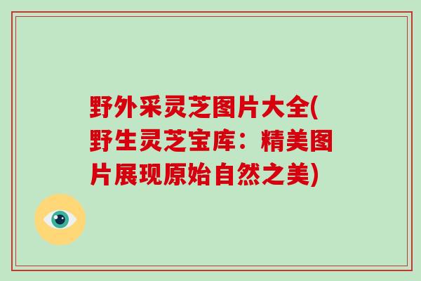 野外采灵芝图片大全(野生灵芝宝库：精美图片展现原始自然之美)