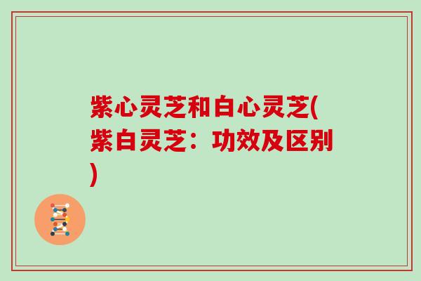 紫心灵芝和白心灵芝(紫白灵芝：功效及区别)