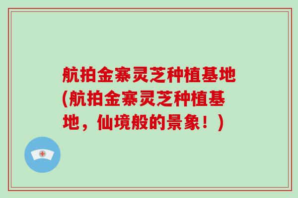 航拍金寨灵芝种植基地(航拍金寨灵芝种植基地，仙境般的景象！)