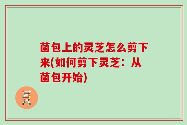 菌包上的灵芝怎么剪下来(如何剪下灵芝：从菌包开始)