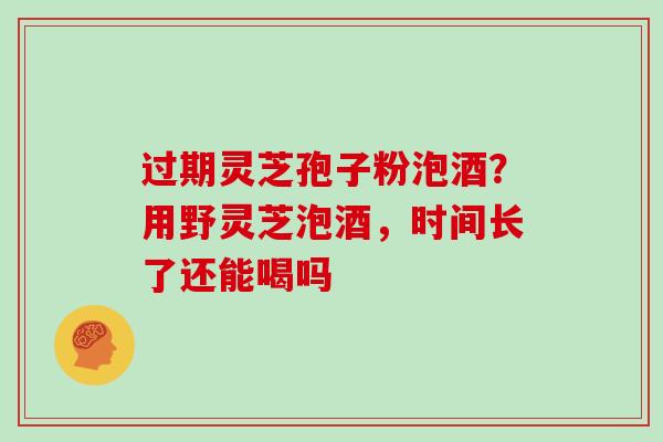 过期灵芝孢子粉泡酒？用野灵芝泡酒，时间长了还能喝吗