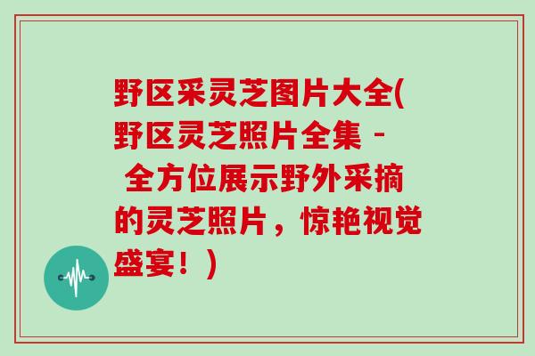 野区采灵芝图片大全(野区灵芝照片全集 - 全方位展示野外采摘的灵芝照片，惊艳视觉盛宴！)