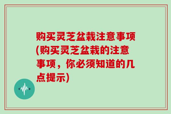 购买灵芝盆栽注意事项(购买灵芝盆栽的注意事项，你必须知道的几点提示)