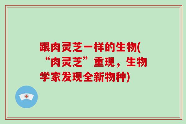 跟肉灵芝一样的生物(“肉灵芝”重现，生物学家发现全新物种)