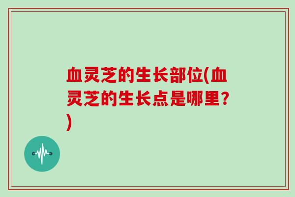 血灵芝的生长部位(血灵芝的生长点是哪里？)