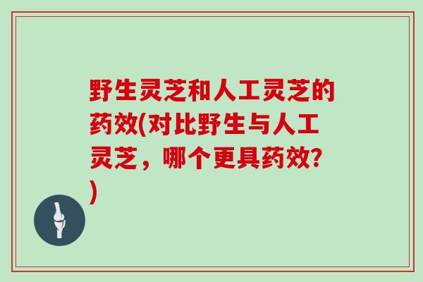 野生灵芝和人工灵芝的药效(对比野生与人工灵芝，哪个更具药效？)