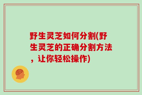 野生灵芝如何分割(野生灵芝的正确分割方法,让你轻松操作)-第1张图片-灵芝大师 野生灵芝如何分割(野生灵芝的正确分割方法,让你轻松操作)-第1张图片-灵芝大师