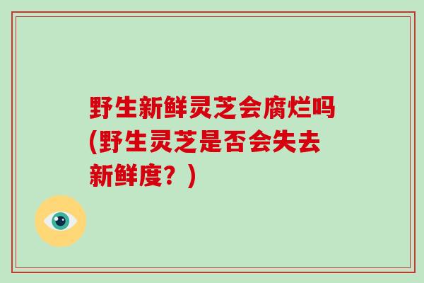 野生新鲜灵芝会腐烂吗(野生灵芝是否会失去新鲜度?)-第1张图片-灵芝大师 野生新鲜灵芝会腐烂吗(野生灵芝是否会失去新鲜度?)-第1张图片-灵芝大师