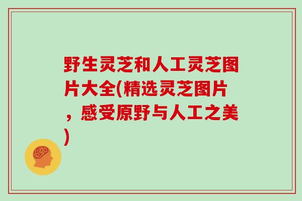 野生灵芝和人工灵芝图片大全(精选灵芝图片，感受原野与人工之美)