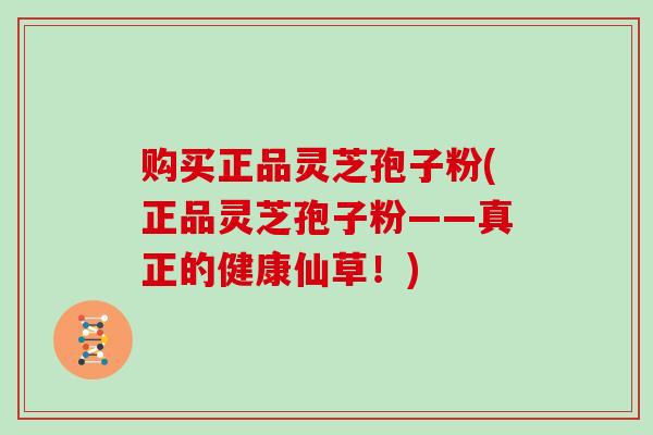 购买正品灵芝孢子粉(正品灵芝孢子粉——真正的健康仙草！)