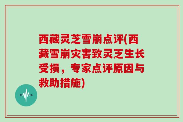 西藏灵芝雪崩点评(西藏雪崩灾害致灵芝生长受损，专家点评原因与救助措施)