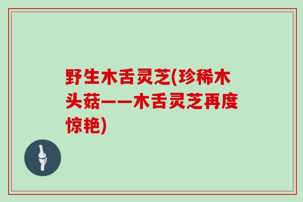 野生木舌灵芝(珍稀木头菇——木舌灵芝再度惊艳)