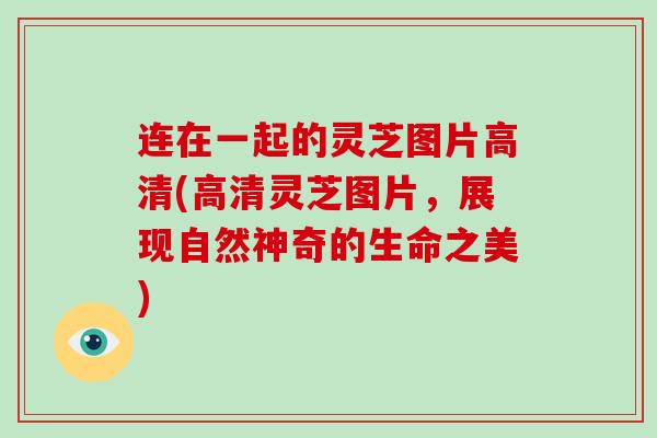 连在一起的灵芝图片高清(高清灵芝图片，展现自然神奇的生命之美)