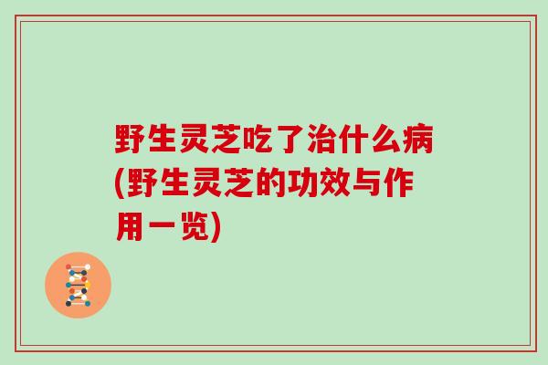 野生灵芝吃了治什么病(野生灵芝的功效与作用一览)