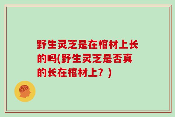 野生灵芝是在棺材上长的吗(野生灵芝是否真的长在棺材上？)-第1张图片-灵芝大师