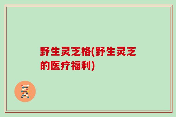 野生灵芝格(野生灵芝的医疗福利)