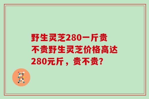 野生灵芝280一斤贵不贵野生灵芝价格高达280元斤，贵不贵？