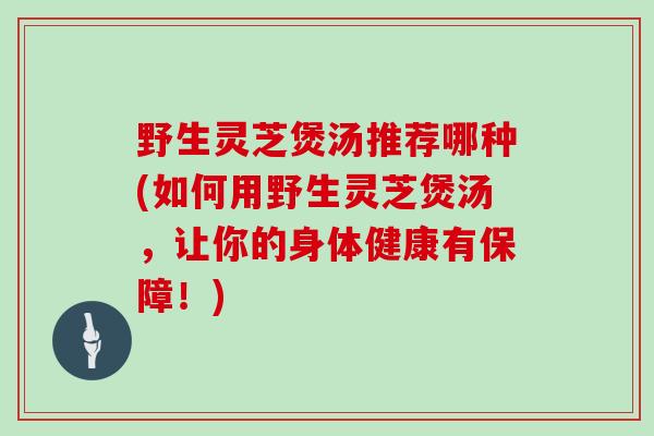 野生灵芝煲汤推荐哪种(如何用野生灵芝煲汤，让你的身体健康有保障！)
