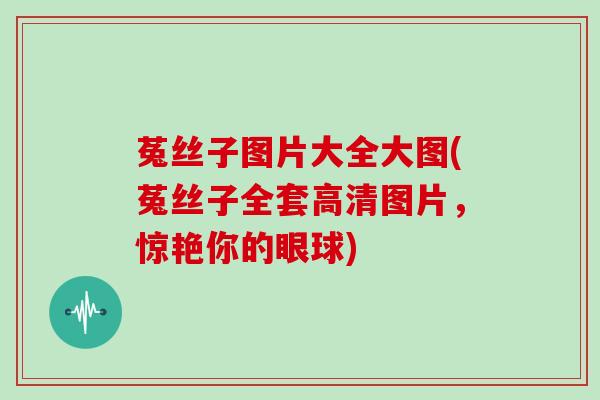 菟丝子图片大全大图(菟丝子全套高清图片，惊艳你的眼球)