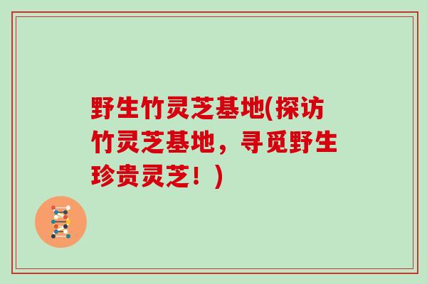 野生竹灵芝基地(探访竹灵芝基地，寻觅野生珍贵灵芝！)