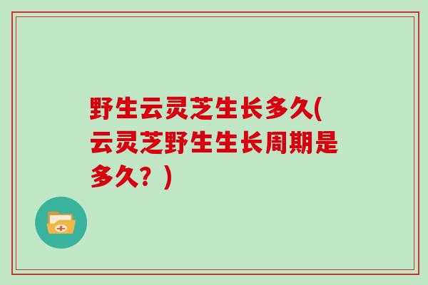 野生云灵芝生长多久(云灵芝野生生长周期是多久？)-第1张图片-灵芝大师